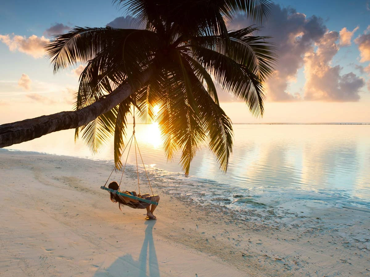 A silhouette of a person relaxing in a hammock between palm trees on a tropical Brazilian beach at sunset.